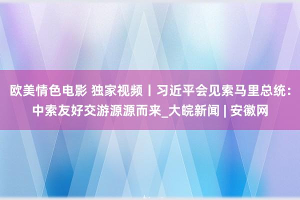 欧美情色电影 独家视频丨习近平会见索马里总统：中索友好交游源源而来_大皖新闻 | 安徽网