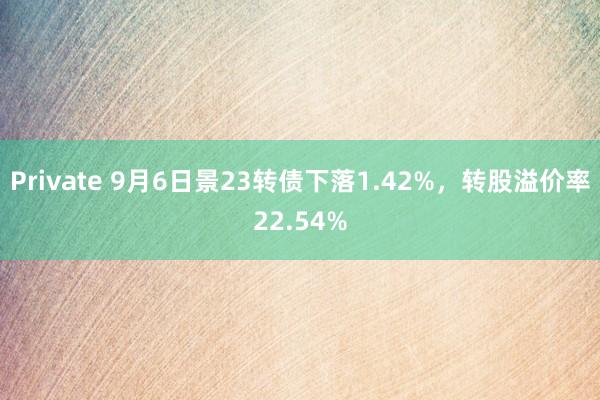 Private 9月6日景23转债下落1.42%，转股溢价率22.54%