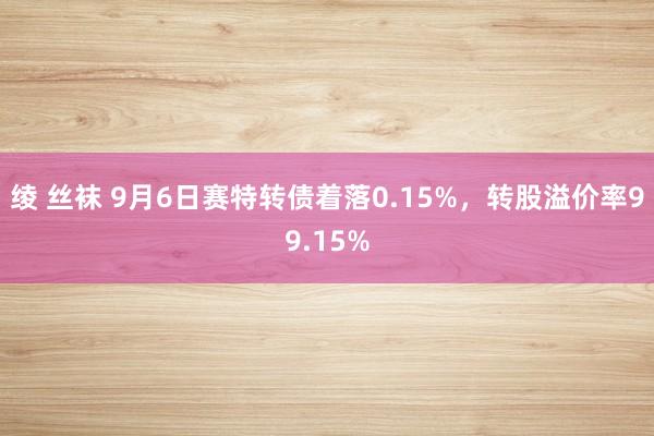 绫 丝袜 9月6日赛特转债着落0.15%，转股溢价率99.15%