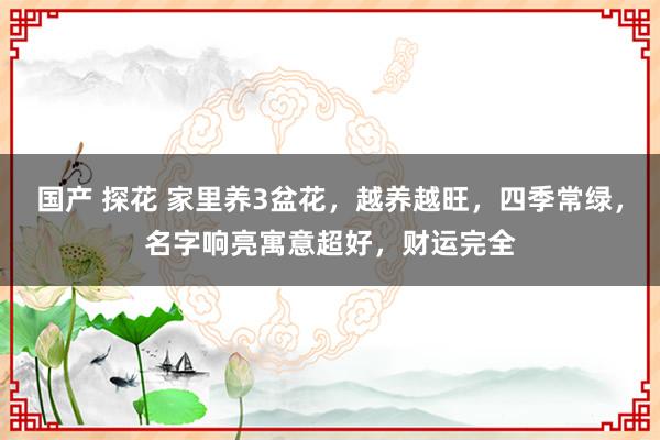 国产 探花 家里养3盆花，越养越旺，四季常绿，名字响亮寓意超好，财运完全