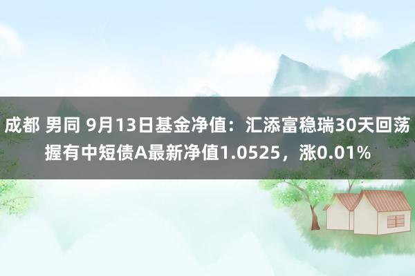 成都 男同 9月13日基金净值：汇添富稳瑞30天回荡握有中短债A最新净值1.0525，涨0.01%