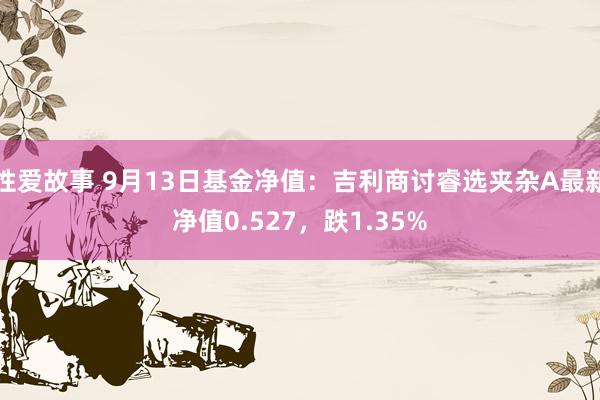 性爱故事 9月13日基金净值：吉利商讨睿选夹杂A最新净值0.527，跌1.35%