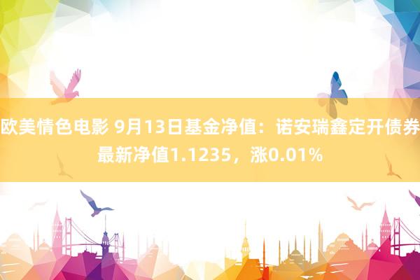 欧美情色电影 9月13日基金净值：诺安瑞鑫定开债券最新净值1.1235，涨0.01%