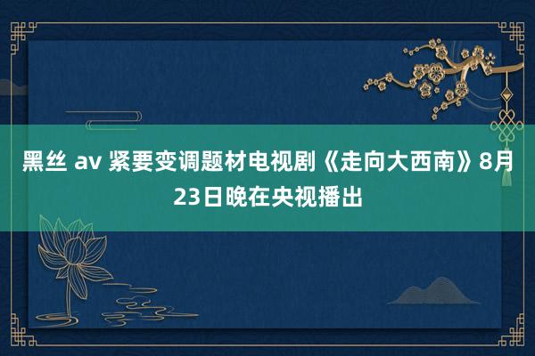 黑丝 av 紧要变调题材电视剧《走向大西南》8月23日晚在央视播出