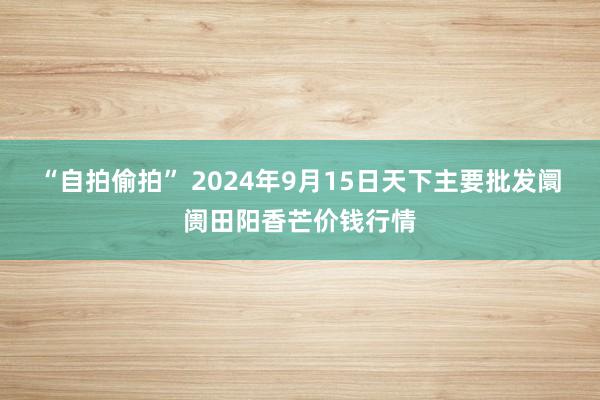 “自拍偷拍” 2024年9月15日天下主要批发阛阓田阳香芒价钱行情