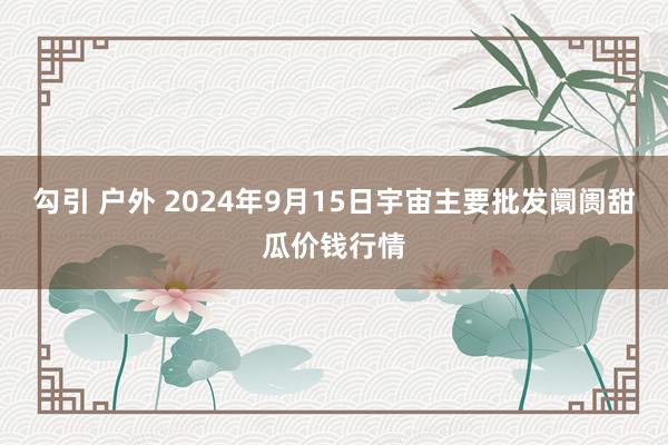 勾引 户外 2024年9月15日宇宙主要批发阛阓甜瓜价钱行情