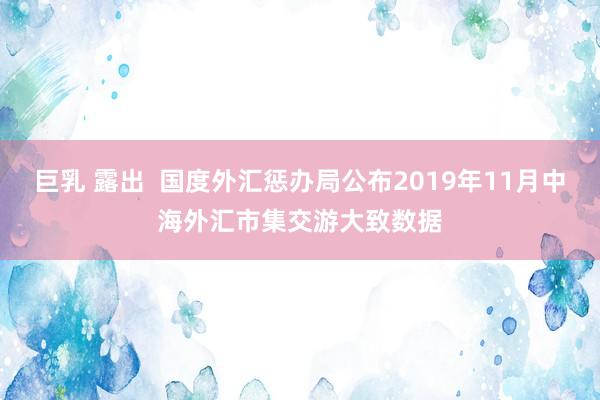 巨乳 露出  国度外汇惩办局公布2019年11月中海外汇市集交游大致数据