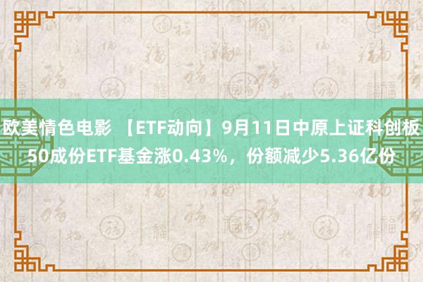 欧美情色电影 【ETF动向】9月11日中原上证科创板50成份ETF基金涨0.43%，份额减少5.36