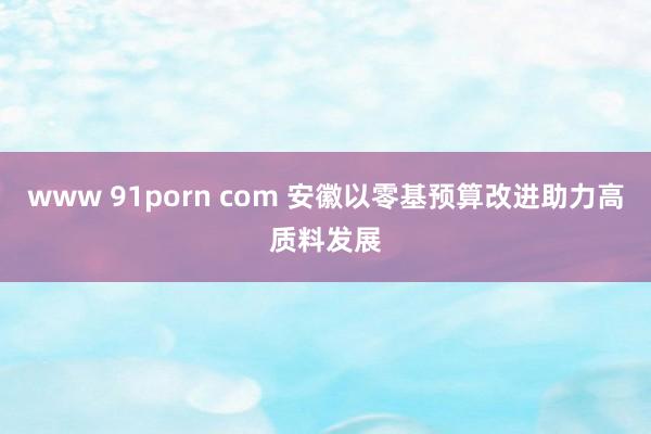 www 91porn com 安徽以零基预算改进助力高质料发展