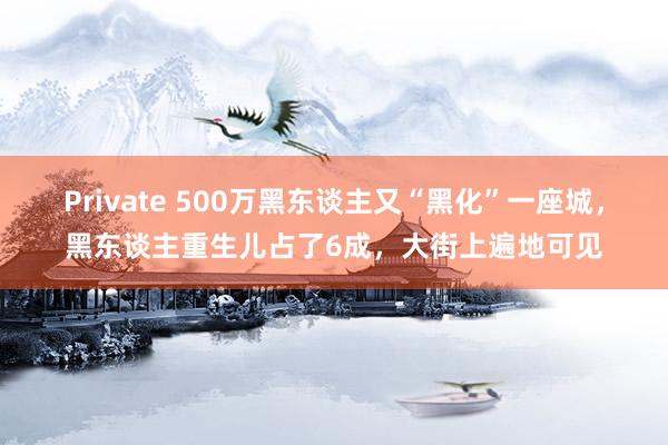 Private 500万黑东谈主又“黑化”一座城，黑东谈主重生儿占了6成，大街上遍地可见