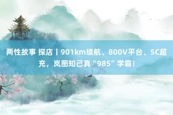 两性故事 探店丨901km续航、800V平台、5C超充，岚图知己真“985”学霸！