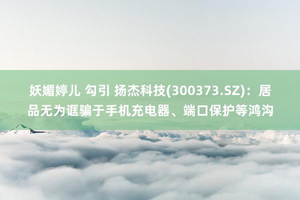 妖媚婷儿 勾引 扬杰科技(300373.SZ)：居品无为诓骗于手机充电器、端口保护等鸿沟