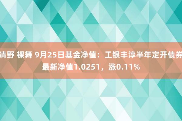 清野 裸舞 9月25日基金净值：工银丰淳半年定开债券最新净值1.0251，涨0.11%