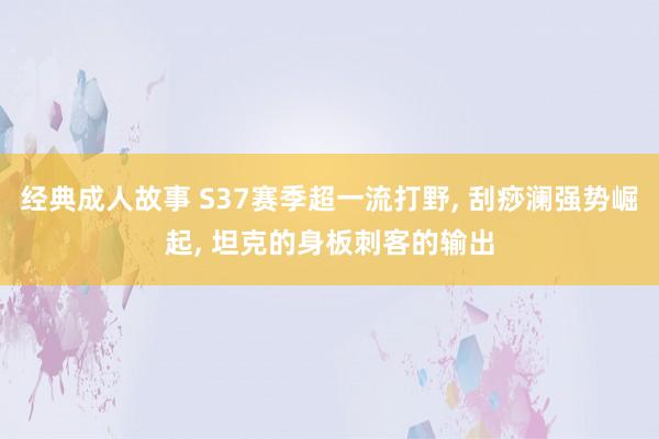 经典成人故事 S37赛季超一流打野, 刮痧澜强势崛起, 坦克的身板刺客的输出