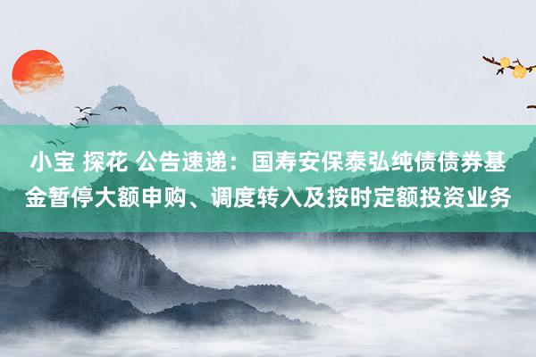 小宝 探花 公告速递：国寿安保泰弘纯债债券基金暂停大额申购、调度转入及按时定额投资业务