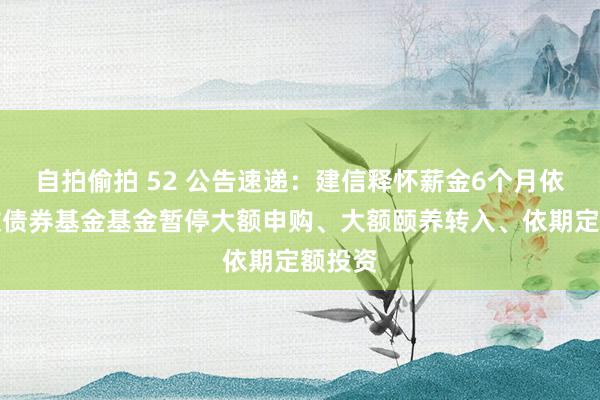 自拍偷拍 52 公告速递：建信释怀薪金6个月依期绽放债券基金基金暂停大额申购、大额颐养转入、依期定额