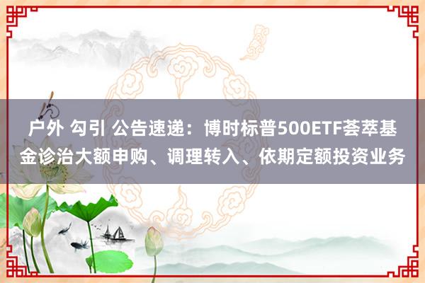 户外 勾引 公告速递：博时标普500ETF荟萃基金诊治大额申购、调理转入、依期定额投资业务