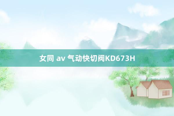 女同 av 气动快切阀KD673H