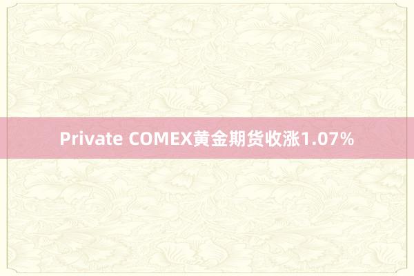 Private COMEX黄金期货收涨1.07%