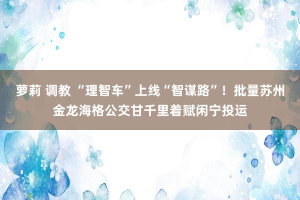 萝莉 调教 “理智车”上线“智谋路”！批量苏州金龙海格公交甘千里着赋闲宁投运