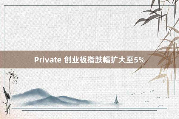 Private 创业板指跌幅扩大至5%