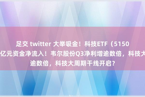 足交 twitter 大举吸金！科技ETF（515000）单日获3.5亿元资金净流入！韦尔股份Q3净