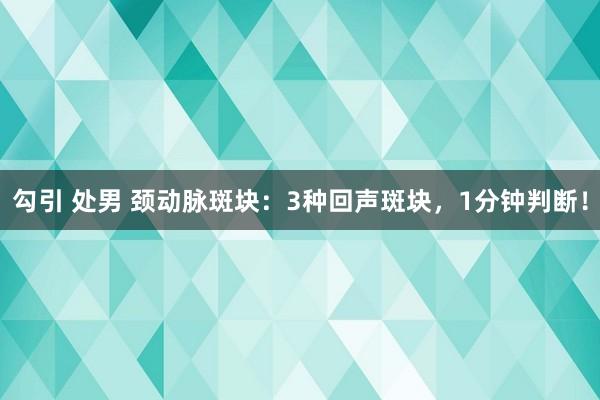 勾引 处男 颈动脉斑块：3种回声斑块，1分钟判断！