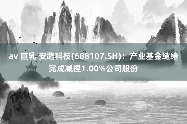 av 巨乳 安路科技(688107.SH)：产业基金缱绻完成减捏1.00%公司股份