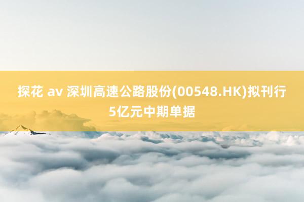 探花 av 深圳高速公路股份(00548.HK)拟刊行5亿元中期单据