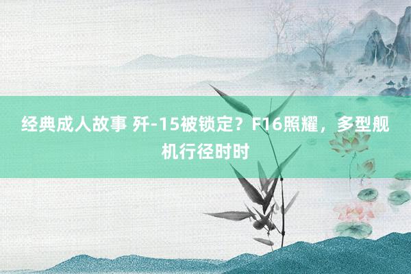 经典成人故事 歼-15被锁定？F16照耀，多型舰机行径时时