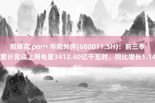 姐妹花 porn 华能外洋(600011.SH)：前三季度累计完成上网电量3412.40亿千瓦时，同