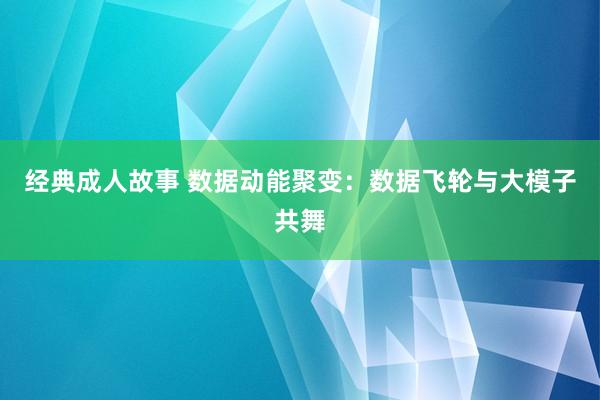 经典成人故事 数据动能聚变：数据飞轮与大模子共舞