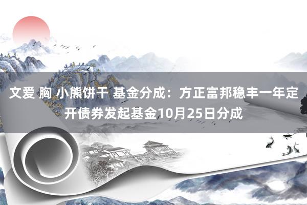 文爱 胸 小熊饼干 基金分成：方正富邦稳丰一年定开债券发起基金10月25日分成