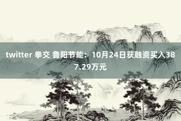 twitter 拳交 鲁阳节能：10月24日获融资买入387.29万元