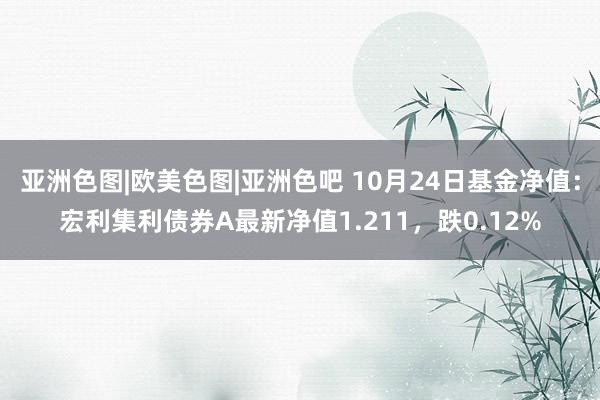 亚洲色图|欧美色图|亚洲色吧 10月24日基金净值：宏利集利债券A最新净值1.211，跌0.12%