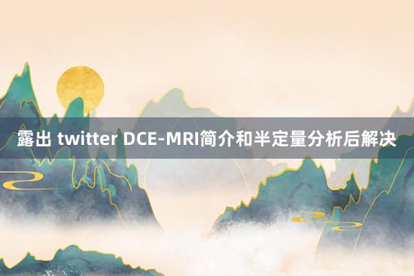 露出 twitter DCE-MRI简介和半定量分析后解决