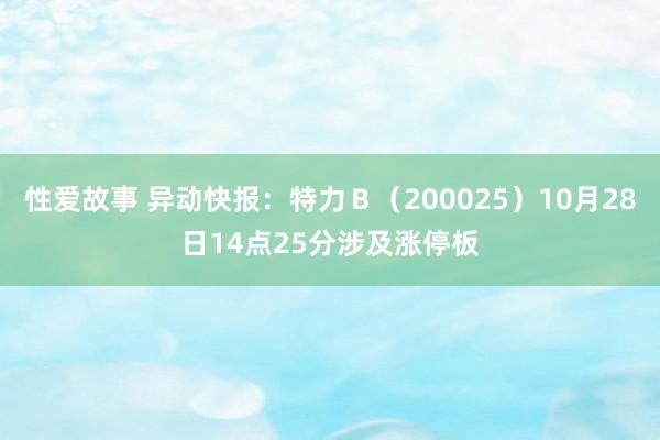 性爱故事 异动快报：特力Ｂ（200025）10月28日14点25分涉及涨停板