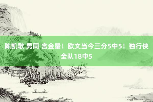 陈凯歌 男同 含金量！欧文当今三分5中5！独行侠全队18中5