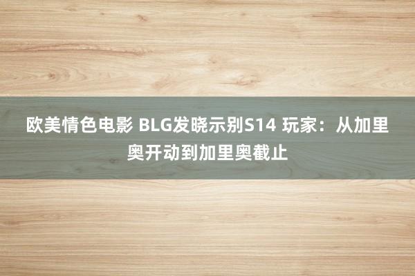 欧美情色电影 BLG发晓示别S14 玩家：从加里奥开动到加里奥截止