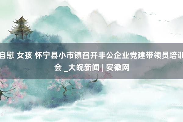 自慰 女孩 怀宁县小市镇召开非公企业党建带领员培训会 _大皖新闻 | 安徽网