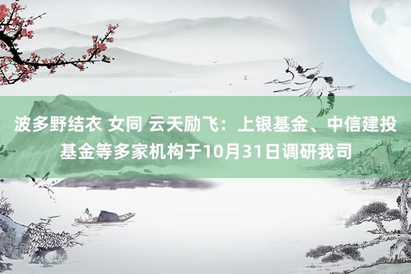 波多野结衣 女同 云天励飞：上银基金、中信建投基金等多家机构于10月31日调研我司