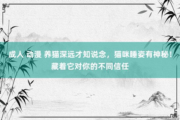 成人 动漫 养猫深远才知说念，猫咪睡姿有神秘！藏着它对你的不同信任